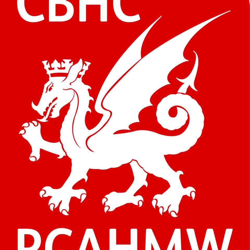 Profile picture for user helen.rowe@cbhc.gov.uk