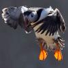 Profile picture for user mypinknee