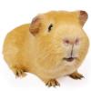 Profile picture for user matthew_geary_ngfl_cymru_org_uk